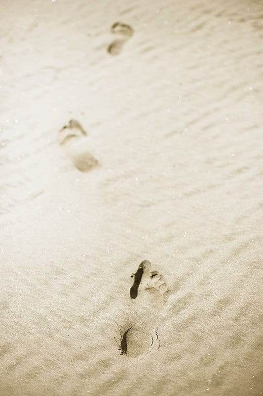 footprints-twin-town