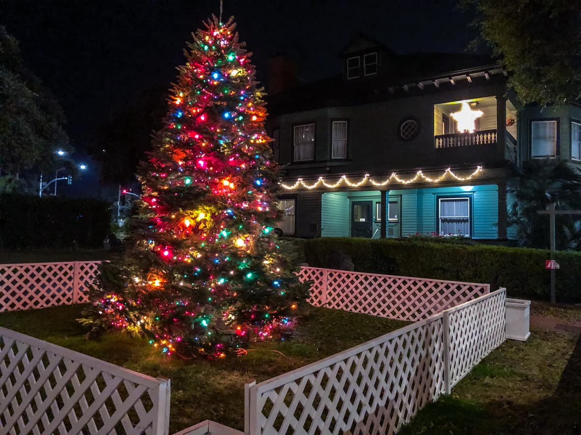 Christmas tree on Santa Monica street at night, California, USA Twin Town Treatment Centers
